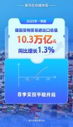 平稳开局！今年一季度我国货物贸易进出口10.3万亿元